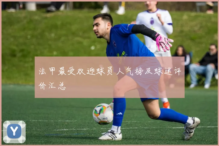 法甲最受欢迎球员人气榜及球迷评价汇总