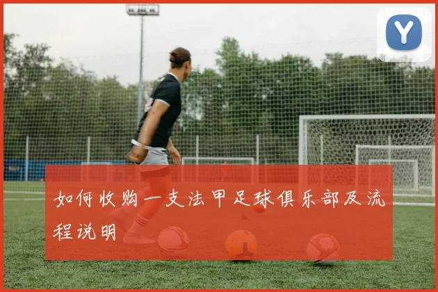 如何收购一支法甲足球俱乐部及流程说明